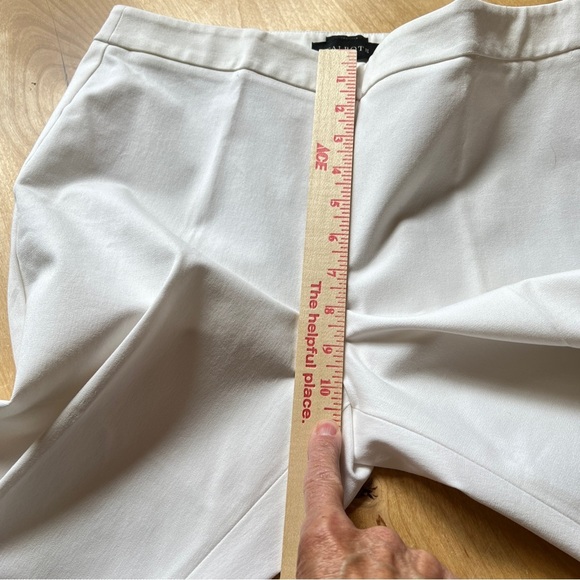 TALBOTS CHATHAM ANKLE PANT 8  STRAIGHT LEG SIDE ZIP ANKLE LENGTH COASTAL NWT - Picture 9 of 10